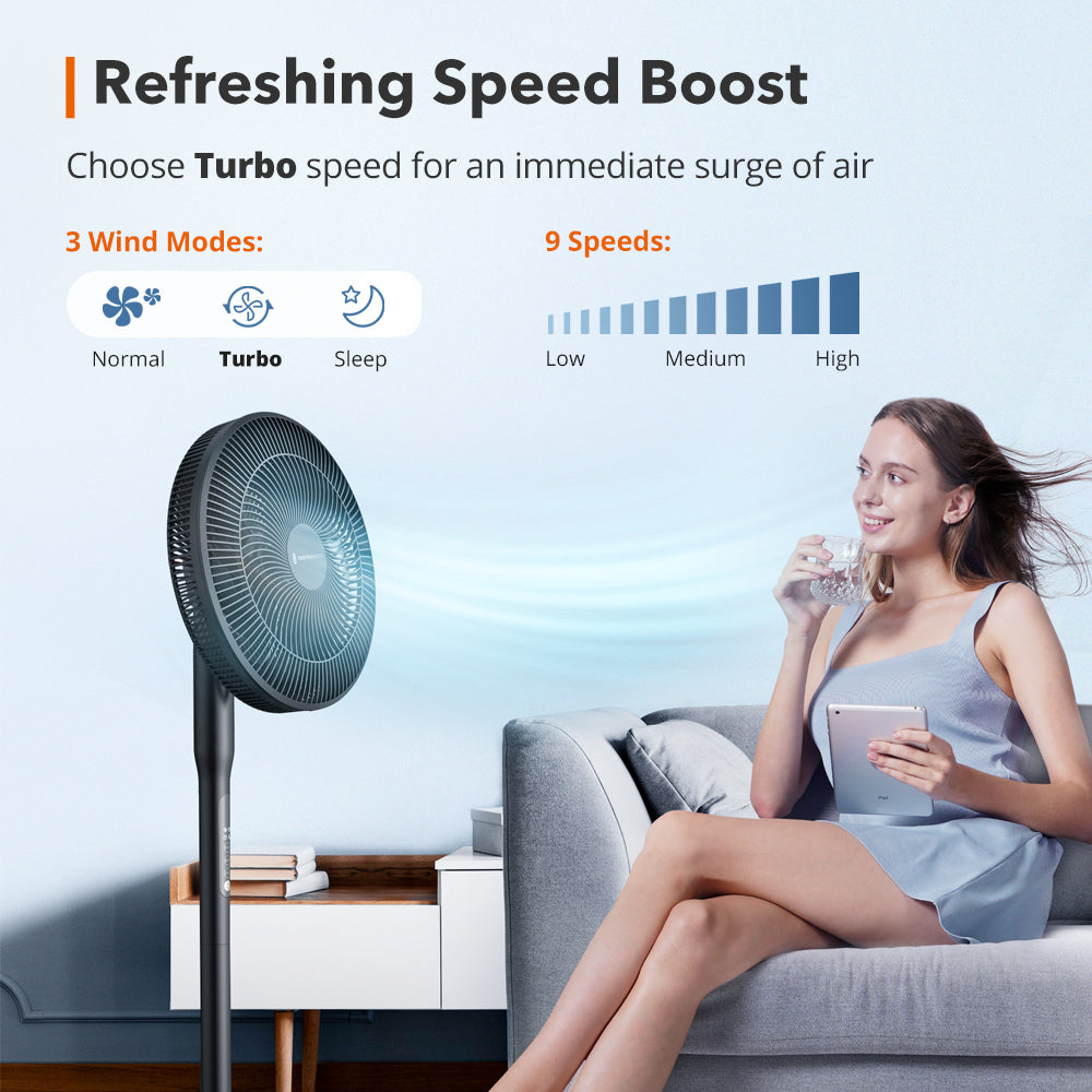 Pedestal Fan 010, with Remote, 3 Wind Modes, 12 Speed Levels WM